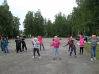 SAM_2997